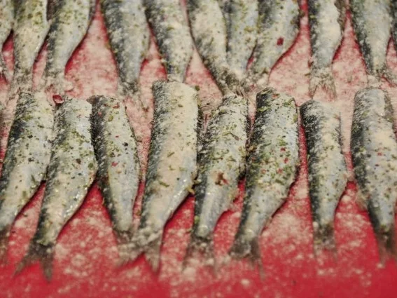 Sardinen al forno mit Kräuter-Knoblauch-Baguette - Rezept - Bild Nr. 2