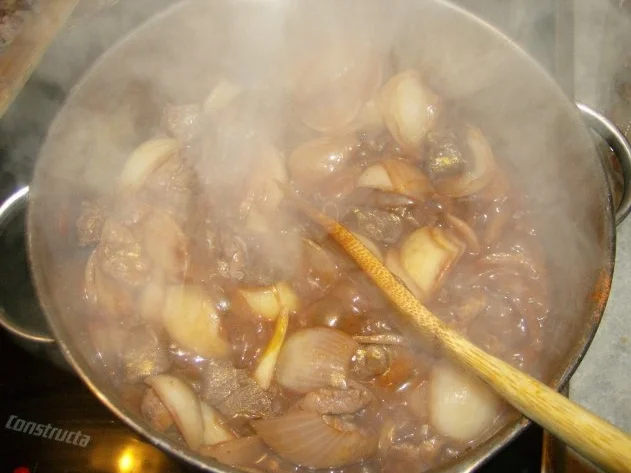 Knofi- Chilli Gulasch - Rezept - Bild Nr. 9