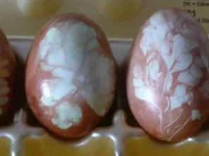 Ostereier färben und kochen. - Rezept - Bild Nr. 17