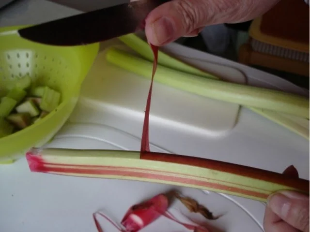 Rezept: Rhabarberkuchen nach Frau Graen Bild Nr. 6 Rhabarberkuchen nach Frau Graen - Rezept - Bild Nr. 6