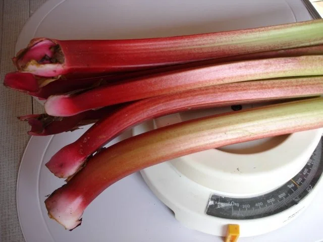 Rezept: Rhabarberkuchen nach Frau Graen Bild Nr. 2 Rhabarberkuchen nach Frau Graen - Rezept - Bild Nr. 2