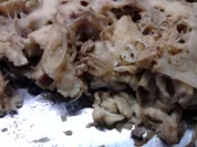 Rezept: Geschmelzte Käsespätzle Geschmelzte Käsespätzle - Rezept