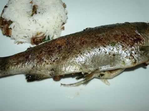 Gebackene Forelle marokkanischer Art - Rezept