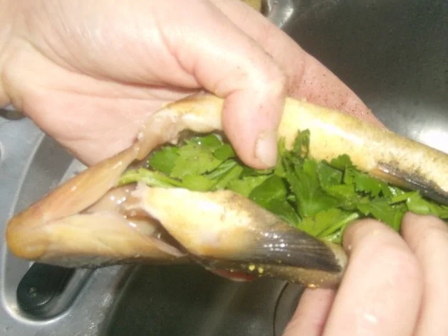 Schleie gebraten mit Petersilienkartoffeln - Rezept - Bild Nr. 3