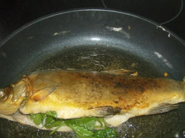 Schleie gebraten mit Petersilienkartoffeln - Rezept - Bild Nr. 6