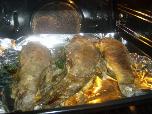 Schleie gebraten mit Petersilienkartoffeln - Rezept - Bild Nr. 7