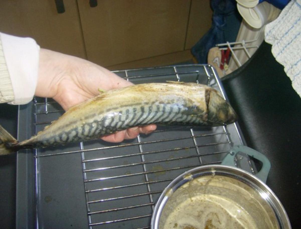 Makrele aus dem Backofen - Rezept - Bild Nr. 3