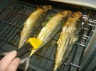 Makrele aus dem Backofen - Rezept