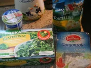 Tortellini mit Spinat-Gorgonzola-Sauce - Rezept