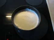 Panna Cotta fettarm mit Beerenspiegel - Rezept