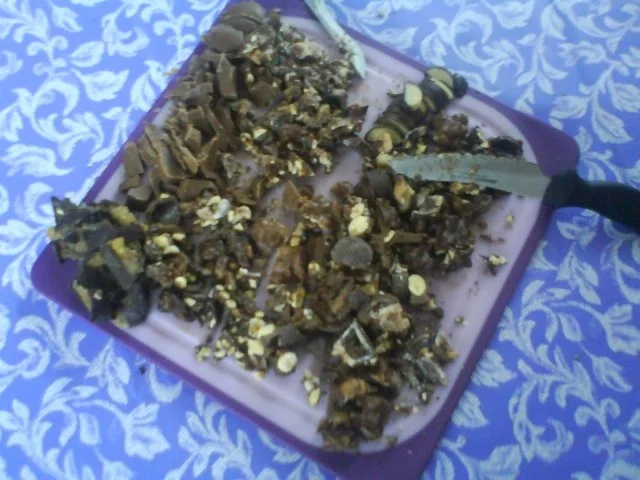 Rezept: Schoko-Nuss-Aprikosenkuchen Bild Nr. 4 Schoko-Nuss-Aprikosenkuchen - Rezept - Bild Nr. 4