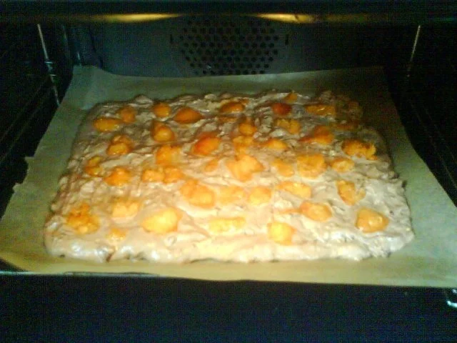 Rezept: Schoko-Nuss-Aprikosenkuchen Bild Nr. 11 Schoko-Nuss-Aprikosenkuchen - Rezept - Bild Nr. 11