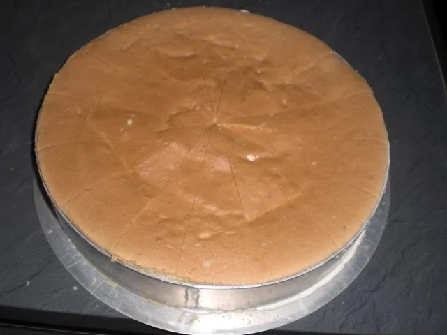 Rezept: Käsesahnetorte mit Mandarinen Bild Nr. 13 Käsesahnetorte mit Mandarinen - Rezept - Bild Nr. 13