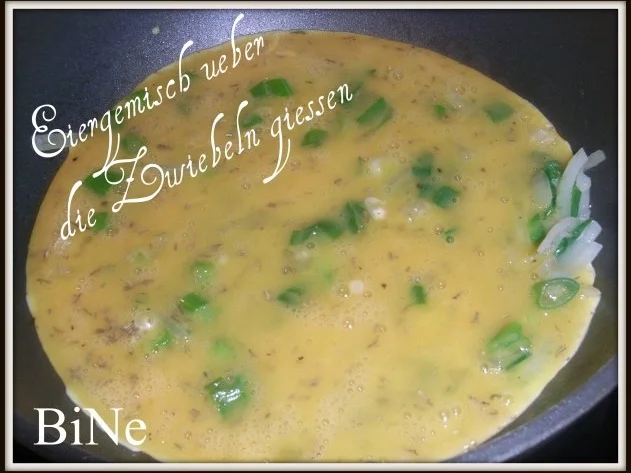 BiNe` S ZWIEBEL - OMELETTE - Rezept - Bild Nr. 5