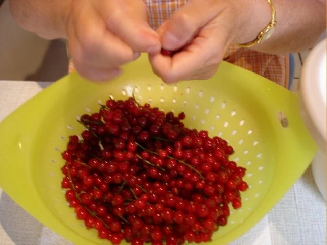 Johannisbeer-Baiserkuchen - Rezept - Bild Nr. 4