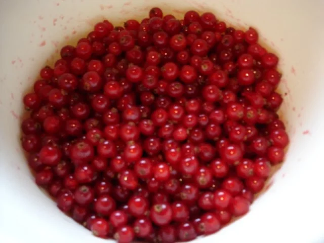 Johannisbeer-Baiserkuchen - Rezept - Bild Nr. 5