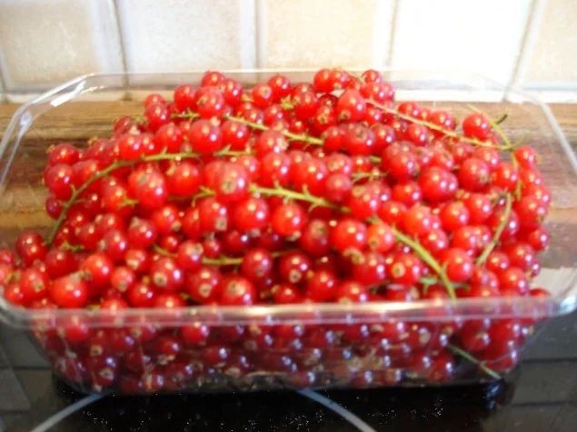 Johannisbeer-Baiserkuchen - Rezept - Bild Nr. 2