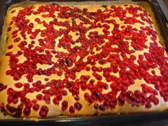 Johannisbeer-Baiserkuchen - Rezept - Bild Nr. 14