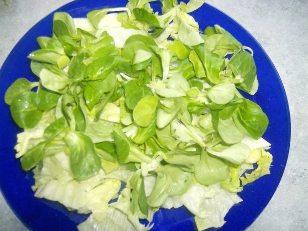 Salat mit warmen Schwammerl und Putenbrust - Rezept - Bild Nr. 5