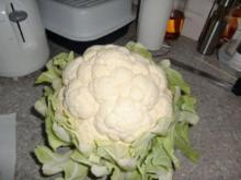 Blumenkohl - Rezept