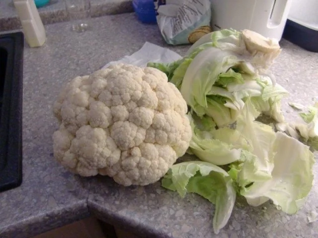 Rezept: Blumenkohl Bild Nr. 2 Blumenkohl - Rezept - Bild Nr. 2