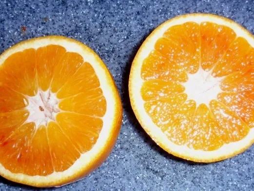 Rezept: Lachsfilet auf Zucchini-Paprikagemüse und Tagliatelle (5farbig) Bild Nr. 6 Lachsfilet auf Zucchini-Paprikagemüse und Tagliatelle (5farbig) - Rezept - Bild Nr. 6