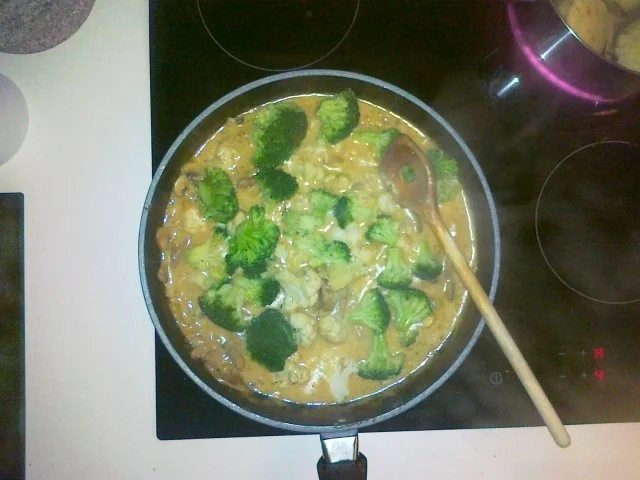 Mein Rahm - Geschnetzeltes vom Schweinefile - Rezept - Bild Nr. 20