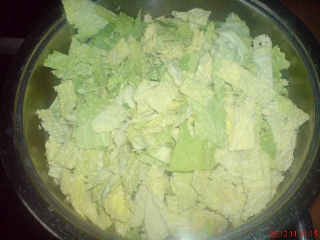 WIRSINGKOHL-EINTOPF - Rezept - Bild Nr. 19