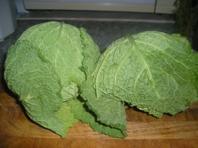 Kohl nach Hausfrauenart - Rezept - Bild Nr. 2