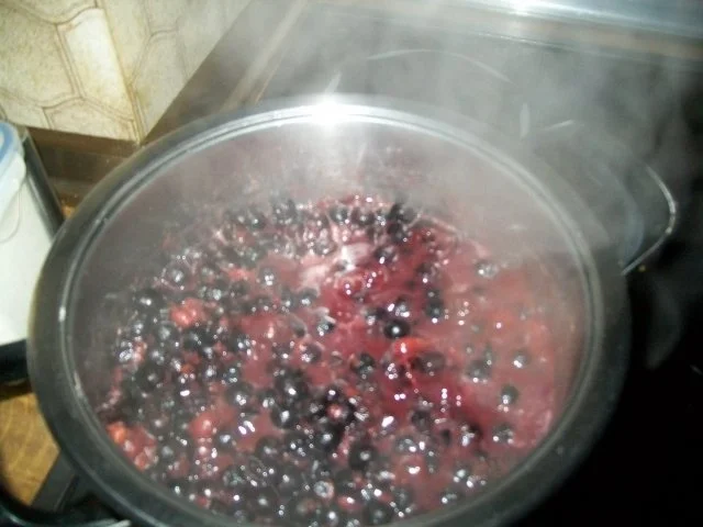 Rezept: Irenes Schlehen - Apfelmusmarmelade Bild Nr. 4 Irenes Schlehen - Apfelmusmarmelade - Rezept - Bild Nr. 4