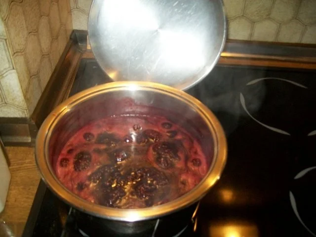 Rezept: Irenes Schlehen - Apfelmusmarmelade Bild Nr. 3 Irenes Schlehen - Apfelmusmarmelade - Rezept - Bild Nr. 3