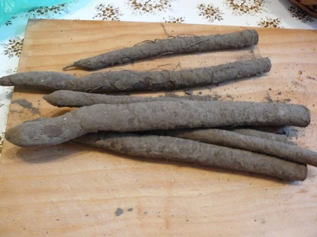 Schwarzwurzeln klassich nach Oma Gertraud - Rezept - Bild Nr. 2