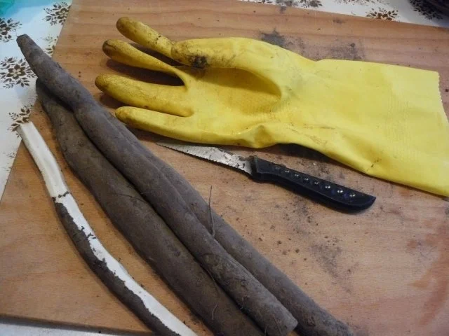 Schwarzwurzeln klassich nach Oma Gertraud - Rezept - Bild Nr. 3