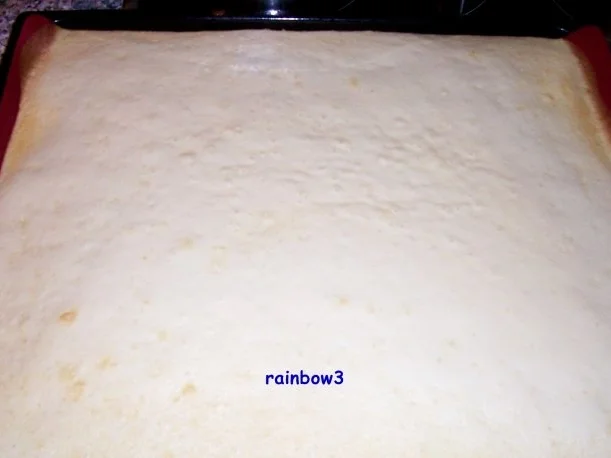 Rezept: Backen: Bienenstich (ohne Hefeteig) Bild Nr. 4 Backen: Bienenstich (ohne Hefeteig) - Rezept - Bild Nr. 4