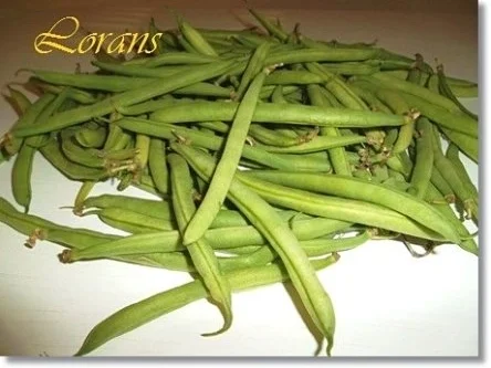 Rezept: Buschbohnen im Schinkenmantel Bild Nr. 3 Buschbohnen im Schinkenmantel - Rezept - Bild Nr. 3