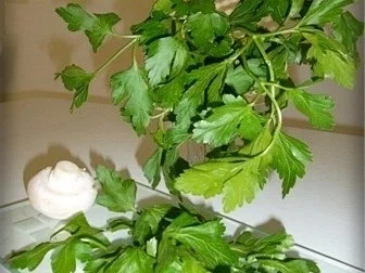 Schlemmerbrötchen mit Champignons - Rezept - Bild Nr. 5