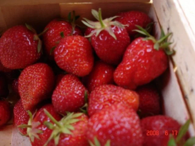 Erdbeermarmelade - Rezept - Bild Nr. 2