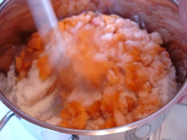 Aprikosenkonfitüre - Rezept - Bild Nr. 9