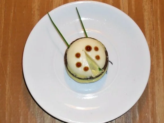 Rezept: Käfer Bild Nr. 4 Käfer - Rezept - Bild Nr. 4