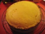 Quark - Mohn - Torte - Rezept