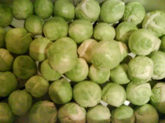 Rosenkohl mit Maronen und Kassler, überbacken - Rezept - Bild Nr. 2