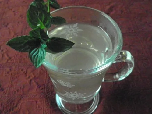 Rezept: "Heißer Hugo" - Die Südtiroler mögen mir verzeihen ... Bild Nr. 2 "Heißer Hugo" - Die Südtiroler mögen mir verzeihen ... - Rezept - Bild Nr. 2