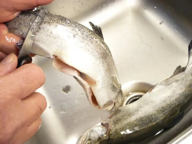 Rezept: Gebratene Forellen Bild Nr. 2 Gebratene Forellen - Rezept - Bild Nr. 2