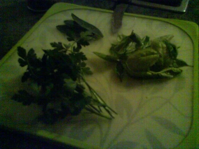 Rezept: Penne aglio e olio Bild Nr. 4 Penne aglio e olio - Rezept - Bild Nr. 4