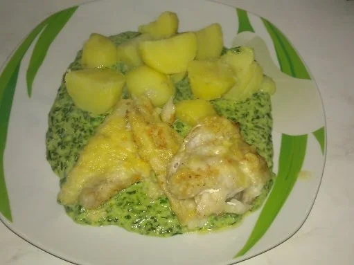 Seelachsfilet mit Käsekruste auf Spinatspiegel - Rezept