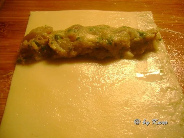 Rezept: Fisch: Thunfisch im Nudelblatt Bild Nr. 7 Fisch: Thunfisch im Nudelblatt - Rezept - Bild Nr. 7