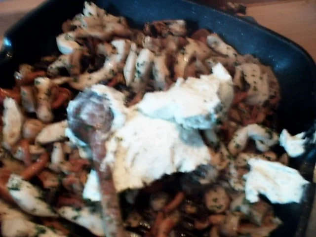 Putenfiletstreifen mit Waldpilzen in Frischkäsesosse - Rezept - Bild Nr. 6