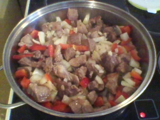 Rezept: Feuerfleisch Bild Nr. 6 Feuerfleisch - Rezept - Bild Nr. 6