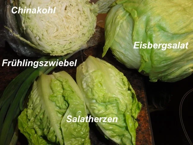 Fleisch:    GYROS - ZWIEBEL - PFANNE - Rezept - Bild Nr. 4