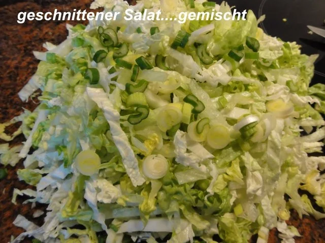 Fleisch:    GYROS - ZWIEBEL - PFANNE - Rezept - Bild Nr. 5